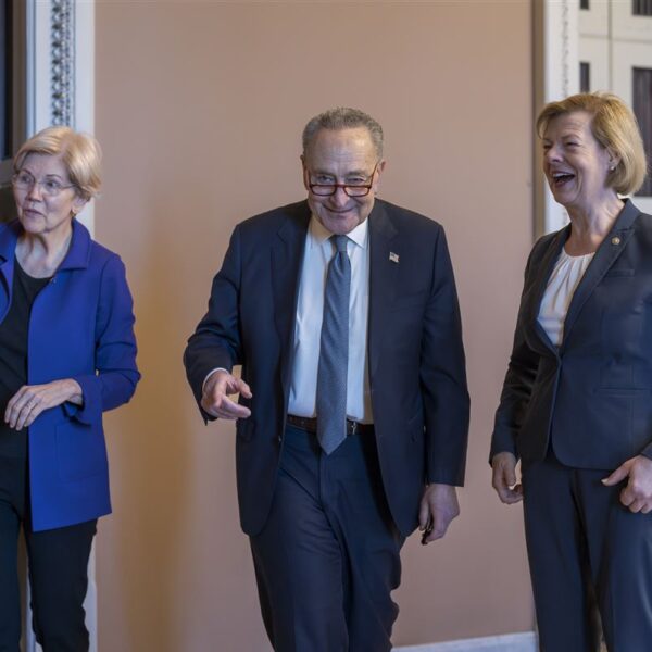 What Next for the Democrats?