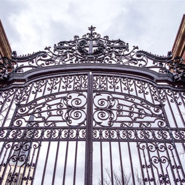 First They Came for Harvard