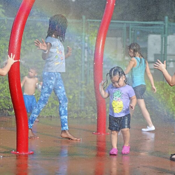 The Relentless Summer of 2025